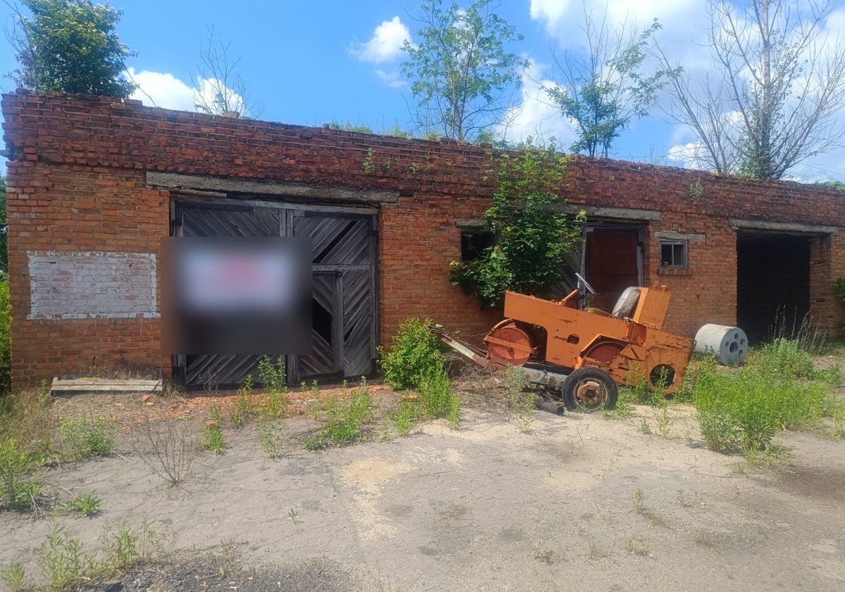 车库(Б),顶部砖砌体已损坏,屋顶长树。