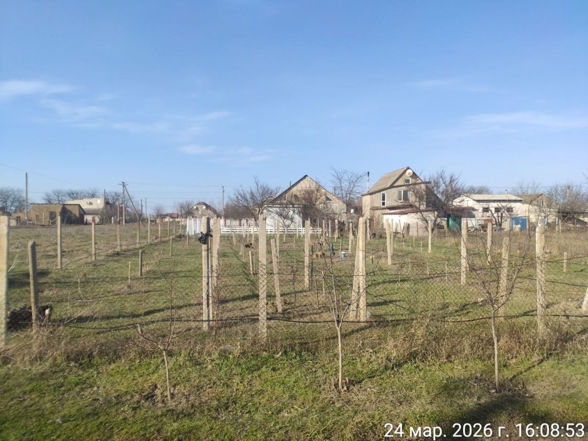 现场：地块用水泥桩和铁丝网围起，里面成排种着小树，后面是已建成的住宅。