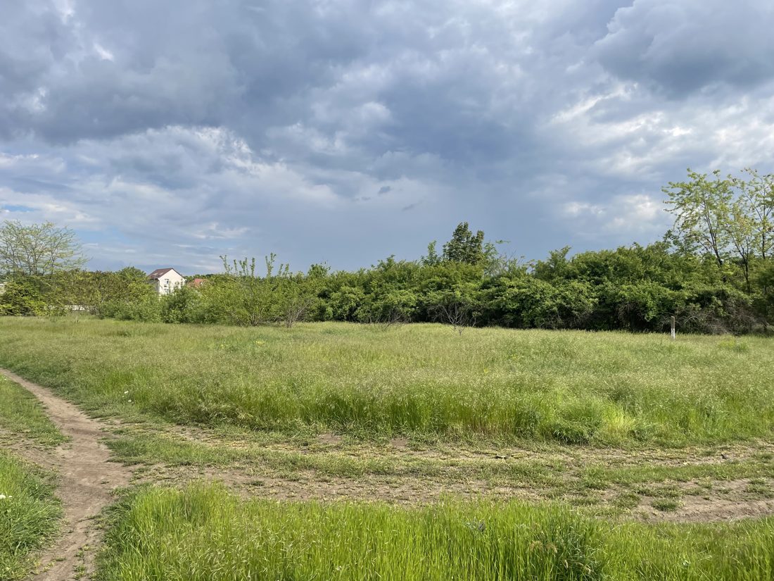 现场:草地和土路,远处是已建成的住宅(执行员上传,春季)。